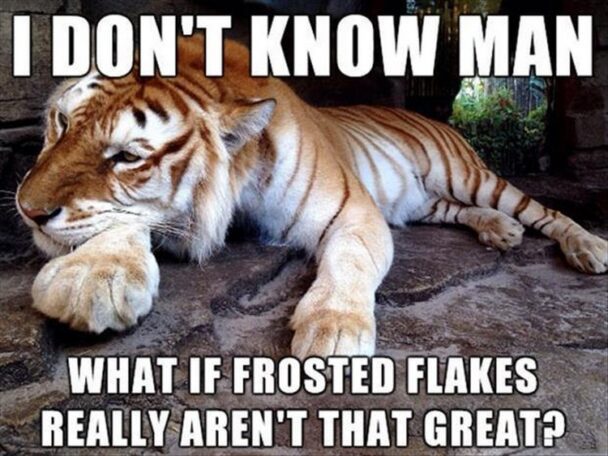 I Dont Know Man What If Rosted Flakes Aren't That Great