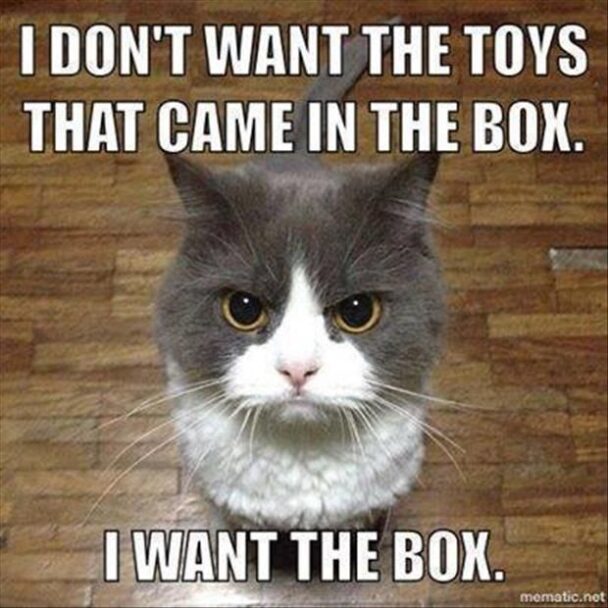 I Dont Want The Toys That Came In The Box Box Mornatcnot