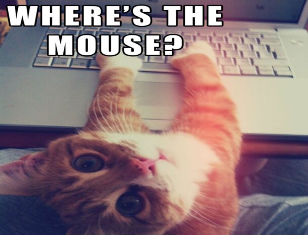 Wheres The Mouse