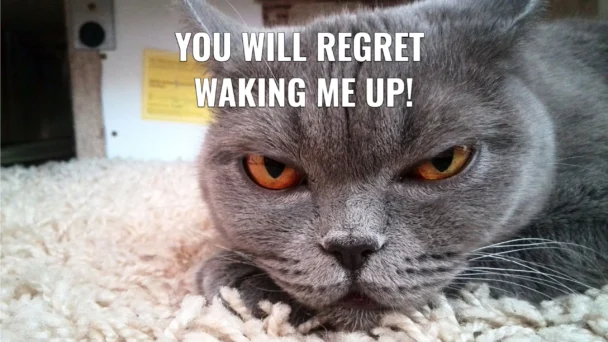 You Will Regret Waking Me Up